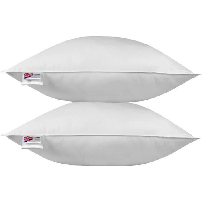 Homescapes oreiller en plumes de canard 80 x 80 cm - lot de 2 DP1232