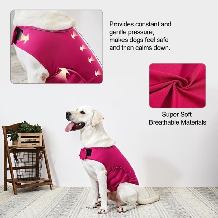 Veste sales tonnerre chien
