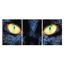 Chat Noir Avec Les Yeux Jaunes 3 Pieces Xxl 180 X 80 En Tout Peinture Sur Toile Decoration Impression Achat Vente Tableau Toile Soldes Sur Cdiscount Des Le Janvier Cdiscount