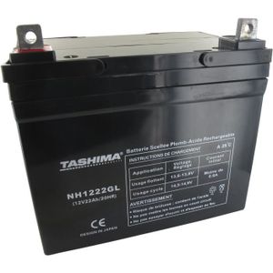 BATTERIE VÉHICULE Batterie moto NH1222GL 12V 22Ah  - Batterie(s)