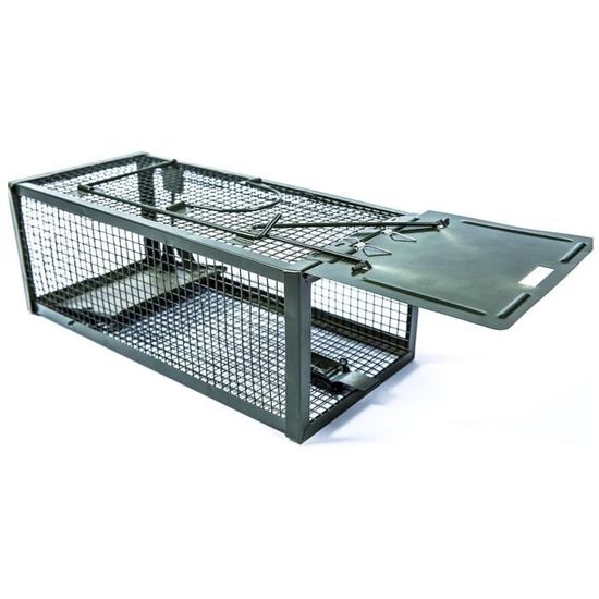 Leurre De Pêche Rat-L-Trap Vintage 2,5'' – Couleur Vert Citron Et Argent