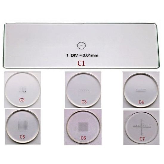 Lame Micrométrique D'étalonnage Pour Microscope - Verre, échelle 0.01mm, Divisions 1 à 5, Marque Srate