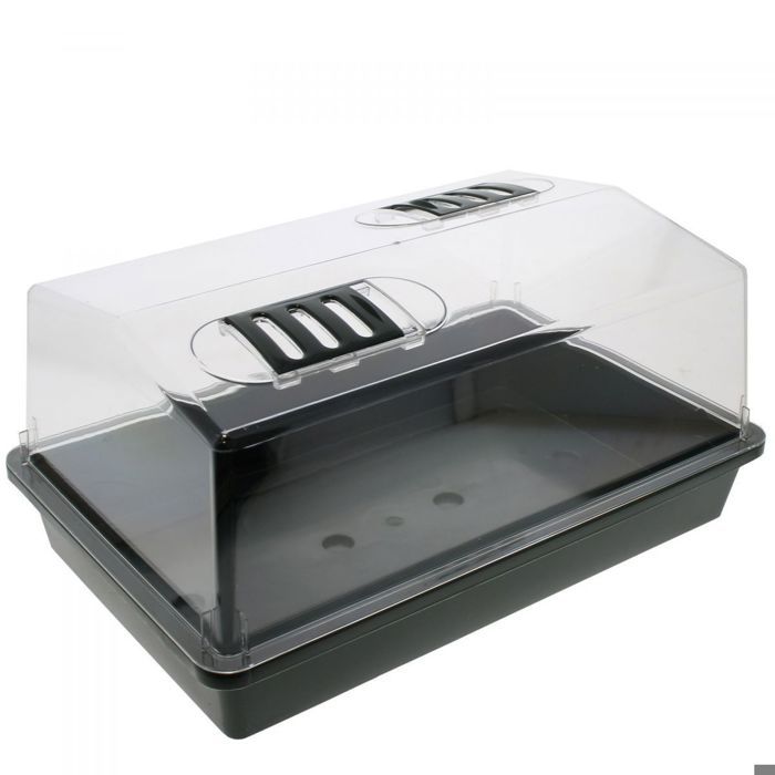 Petite serre en PVC - 38x25x18cm