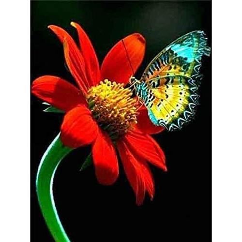 Carte De Vœux Artisanale 5D – Papillon Cristal – Fait Main