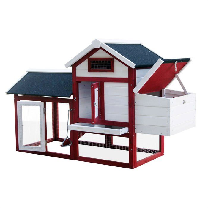 Poulailler - Multicolore - 152 cm - Nichoir et enclos - Bois et galvanisé - 4 poules