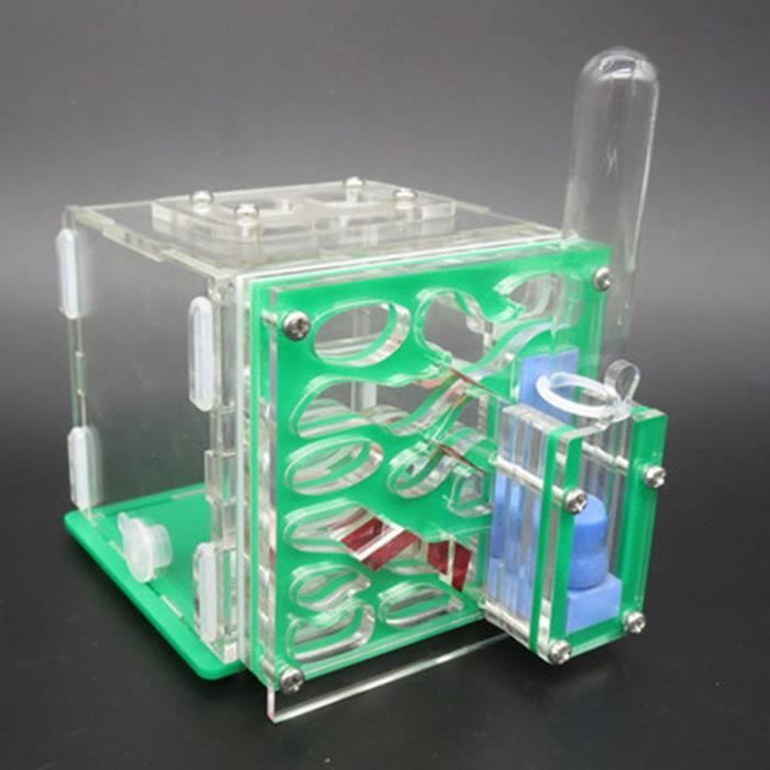 Château De Fourmis En Gel Translucide – Kit D’observation éducatif Avec Loupe, Pinces, Tube – Ferme De Fourmis Pour Enfant – Cadeau Nature