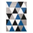 TAO SCANDI Tapis de salon - 150 x 220 cm - Polypropylène - Bleu-1