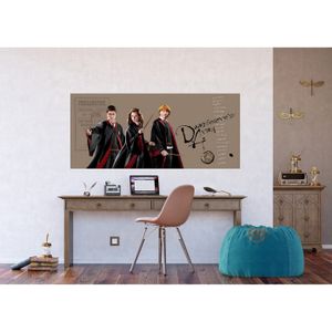 Bannière Géante Harry Potter – Coupe De Feu, Poster Polyester, Déco Enfant