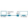 Câble DisplayPort mâle / DVI-D mâle - 2 m - MCL Samar-2