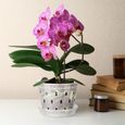 Plateau pour pot d'orchidées avec trous, plateau assorti transparent, respirant, durable et robuste pour plantes-3