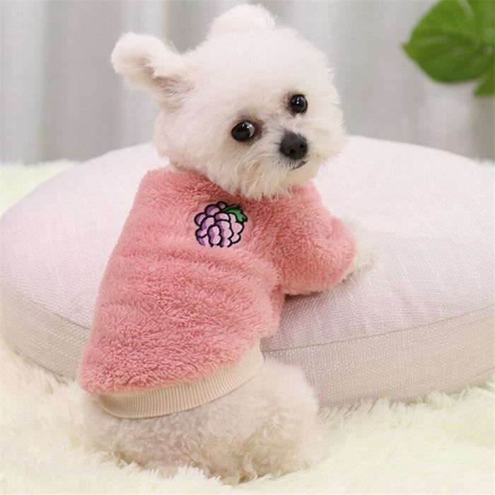 Petit chien peluche online