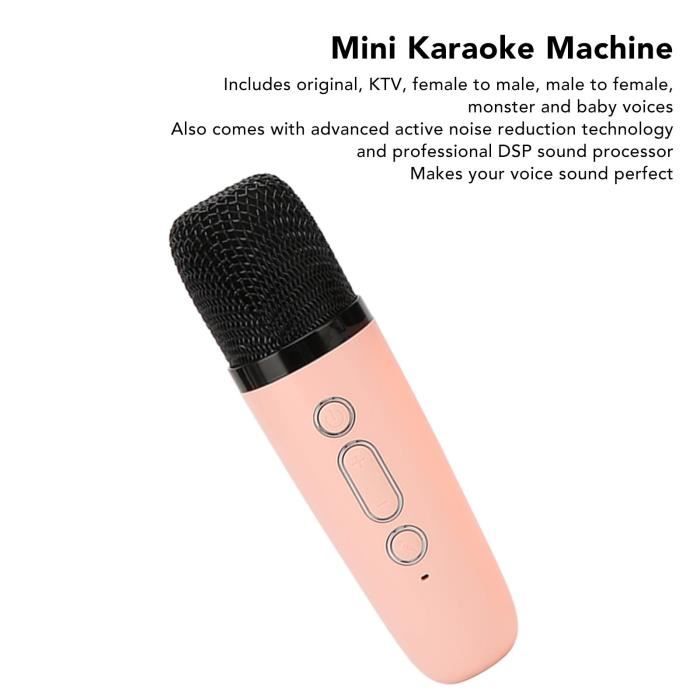 Qiilu Mini Machine Karaoke HiFi Dynamique Légère avec Enceinte Portable et  2 Microphones Fil pour Enfants et Adultes