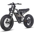 Vélo Électrique FAFREES F20 ULTRA - Motor 1200W - 48V/25Ah LG Batterie,Tout Terrain VTT Électrique 20*5.0" Fat Pneu, Autonomie