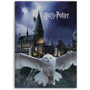 Pled harry potter - Cdiscount