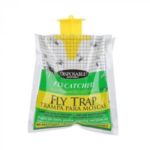 Attrape Mouche Achat Vente Pas Cher