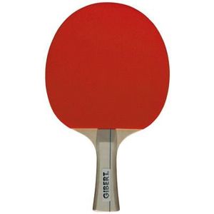 RAQUETTE TENNIS DE T. Raquette de ping-pong