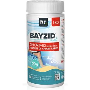 TRAITEMENT DE L'EAU  Höfer Chemie 12 x 1 kg BAYZID pastilles de Chlore 