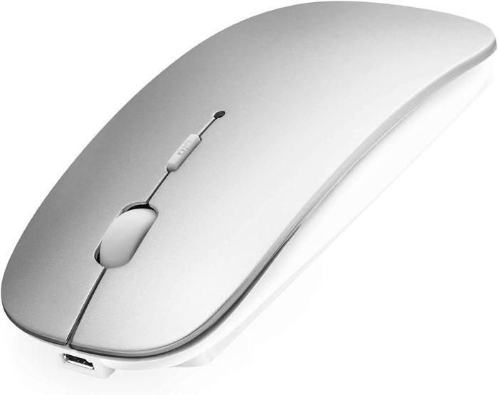 Apple Magic Mouse - Souris - multitactile - sans fil - Bluetooth - pour  11-inch iPad Pro; 12.9-inch iPad