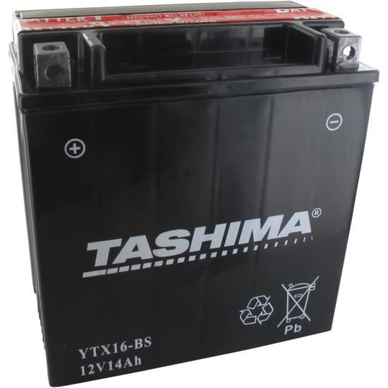 Tashima - Batterie moto YTX16-BS / GTX16-BS 12V 14Ah