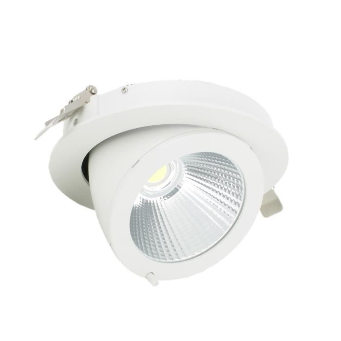 Spot Escargot Pro orientable COB 10W transfo Philips - Température de Couleur : Blanc chaud 3000K