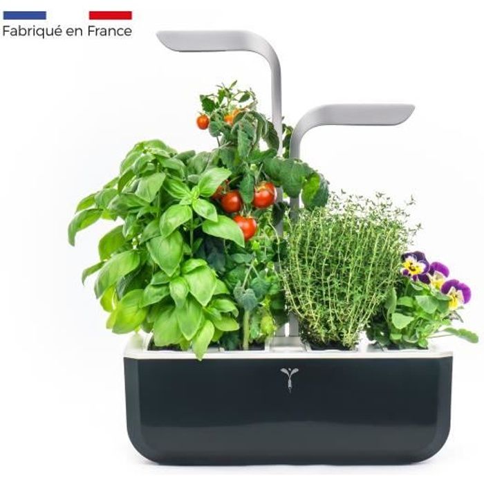 Potager d'intérieur Véritable® SMART Soft Black, inclus 4 Lingots® : Basilic grand vert, Persil frisé, Ciboulette et Thym