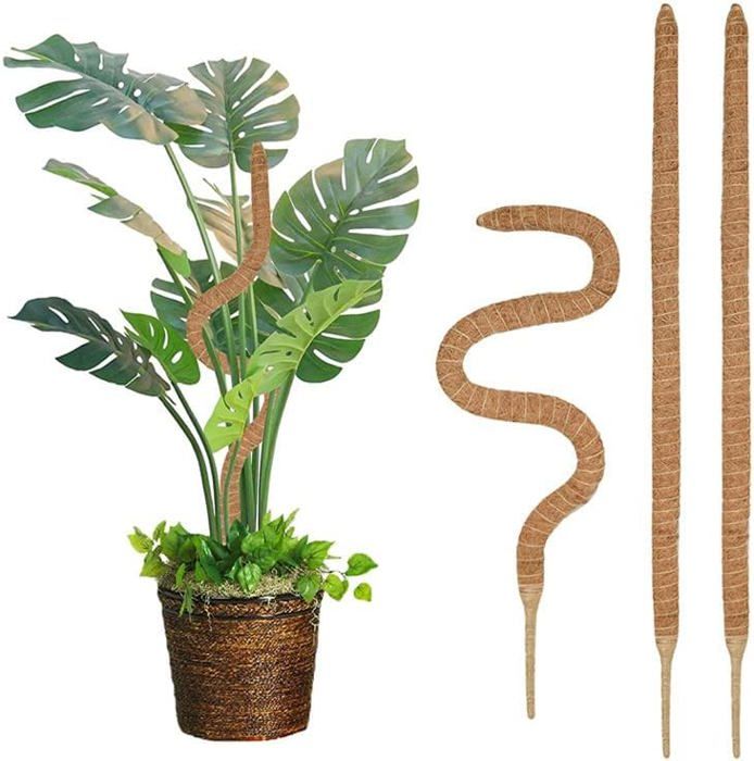 Lot De 2 Supports Pour Plantes Grimpantes En Plastique Pour Plantes