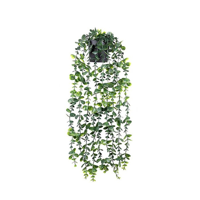 Sitemapcdatahttpswen2windecoocomfausses Plantes Retombantesnull