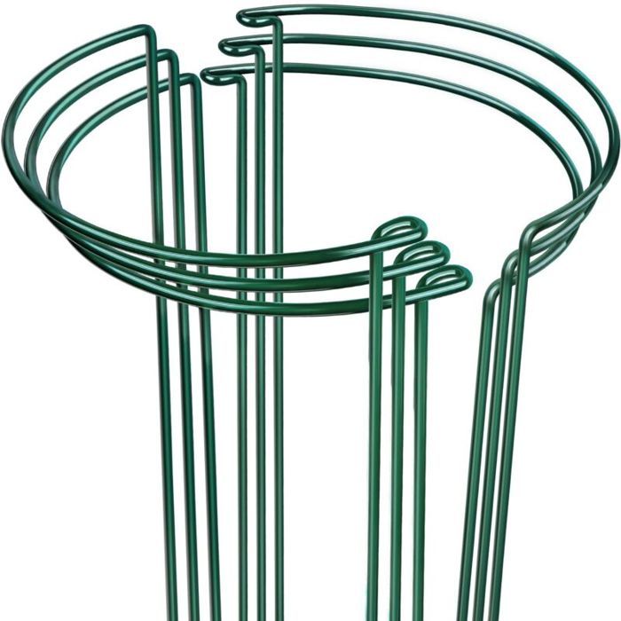 Un ensemble de 6 tuteurs pour plantes et supports métalliques pour pivoines 98 cm de large x 157 cm de haut.