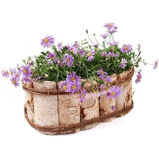 Jardinière De Balcon Altea Erhard-Trading - Pot Ovale Ou Rond, Fixation Sans Perçage - Plusieurs Couleurs (Fuchsia) - 5