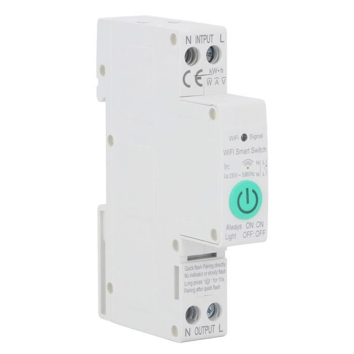 Disjoncteur Différentiel 63A 30mA Type A - 2 Pôles 230V AC - Montage Rail DIN 35mm - Protection Personnes Et Installations - IP20