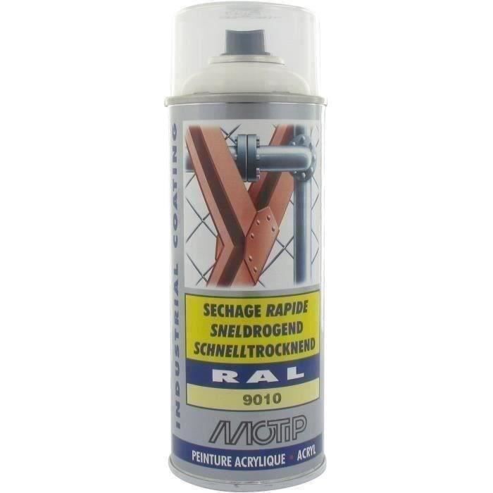 Peint acryliq séch rapide Blanc pur BRIL RAL 9010