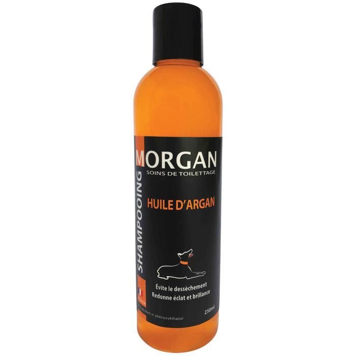 Meilleurs prix pour Shampoing à lhuile dArgan Morgan : 250ml - MORGAN