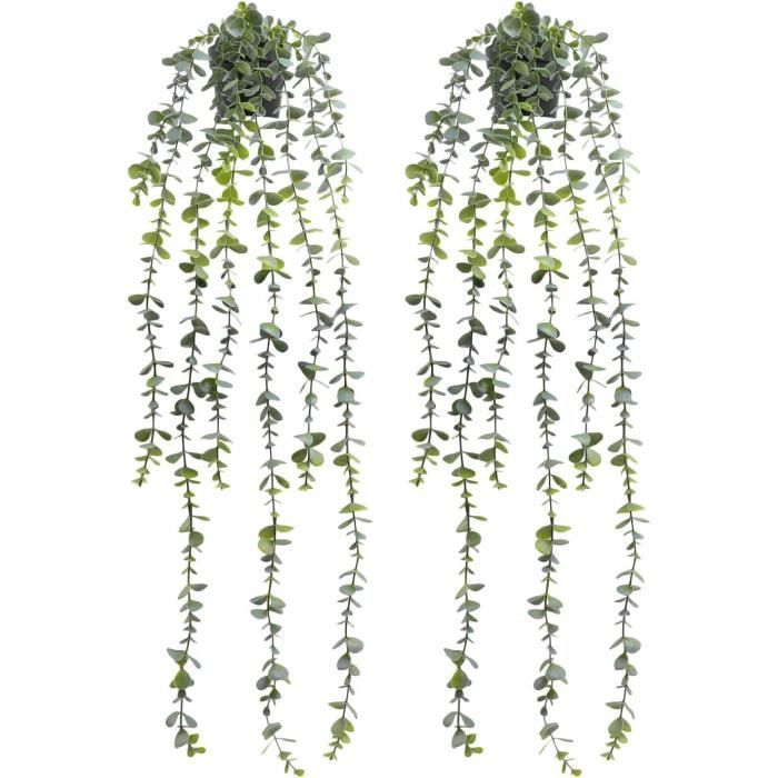 Sitemapcdatahttpsshopinf Inetcomfausses Plantes Tombantes