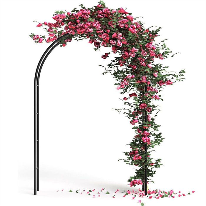 Arche De Jardin En Métal Vert - 240 Cm De Haut - Pour Plantes Grimpantes, Roses, Clématites - 7