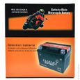Tashima - Batterie moto YTX16-BS / GTX16-BS 12V 14Ah-2
