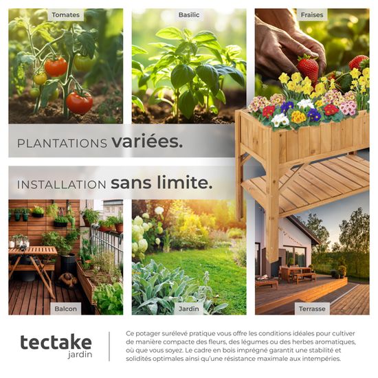 Florex Carré De Potager Herbes De Cuisine - Kit Complet Basilic, Ciboulette, Persil Et Cresson