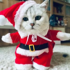 Vetement De Noel Pour Chien Achat Vente Pas Cher Vetement De Noel Pour Chien Achat Vente Pas Cher