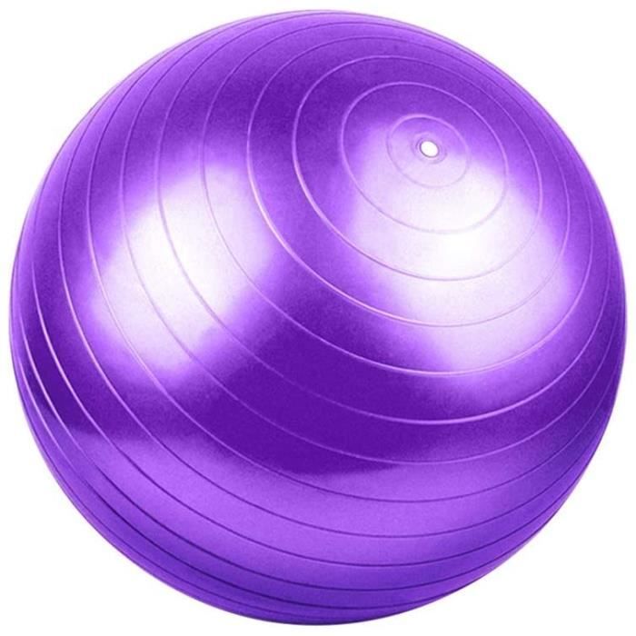 GYM BALL S Ballon De Gym 55Cm Ballon De Gym Ballon De Gymnastique Gym Ball Yoga Ball Soulager Les Courbatures Mateacuteriau PVC 233