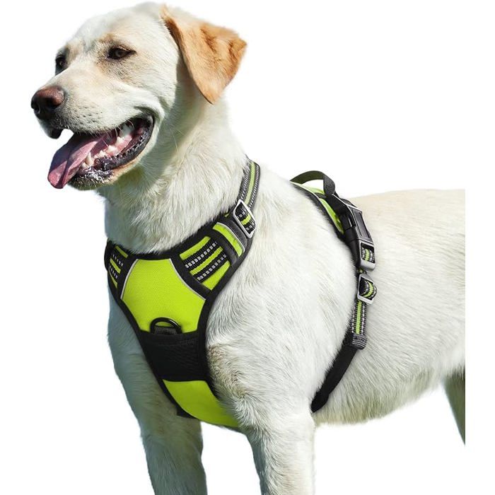 Harnais Chien Harnais Anti Traction pour Chien Réfléchissant Réglable Facile à Mettre avec Poignée Contrôle Arnet Vert L