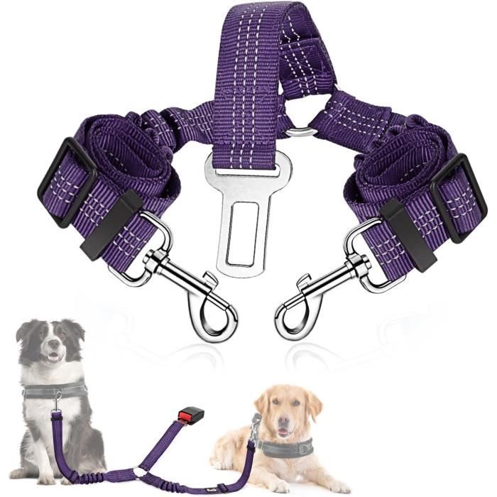 Ceinture De Sécurité Pour Chien En Voiture – 2 Pièces, Harnais Avec Absorption Des Chocs, Mousqueton Universel