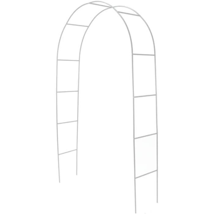 Jardin Arch Rose Flower Arch Cadre Plante Archway Archway Fer Prise de