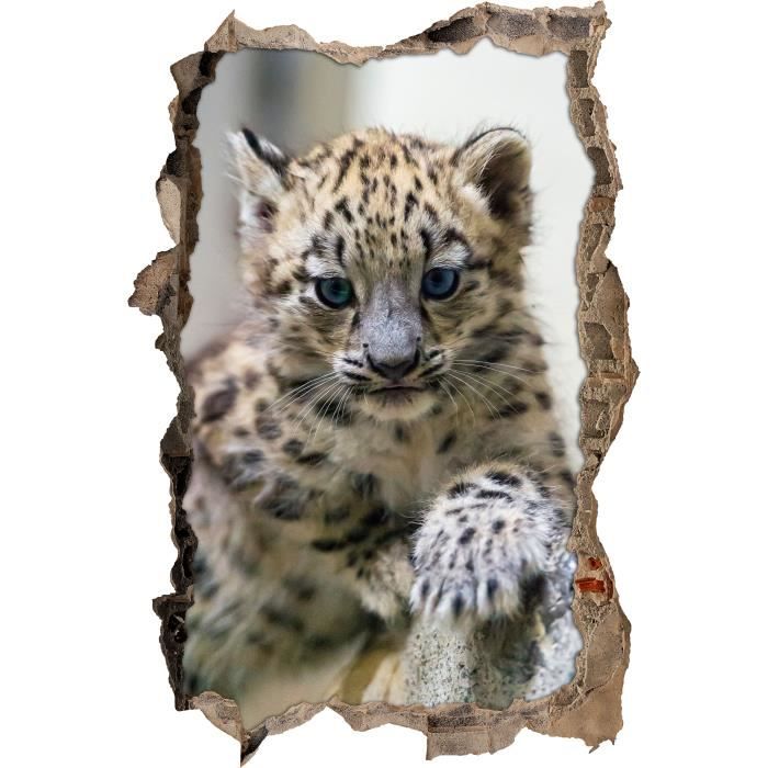 Belle Lionceau Leopard Aux Yeux Bleus Mur Percee En 3d Look Mur Ou Format Vignette De La Porte 62x42cm Stickers Muraux Sticke Cdiscount Maison Belle Lionceau Leopard Aux Yeux Bleus Mur Percee En 3d Look Mur Ou Format Vignette De La Porte 62x42cm Stickers Muraux Sticke Cdiscount Maison
