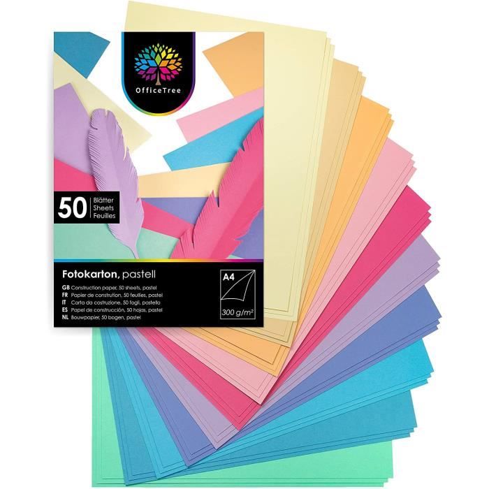 50 feuilles de papier dans des teintes pastel - enfants Papier DIN A4 pour  bricoler et construire - 300 g-m² - 10 couleurs pastel - Cdiscount  Informatique