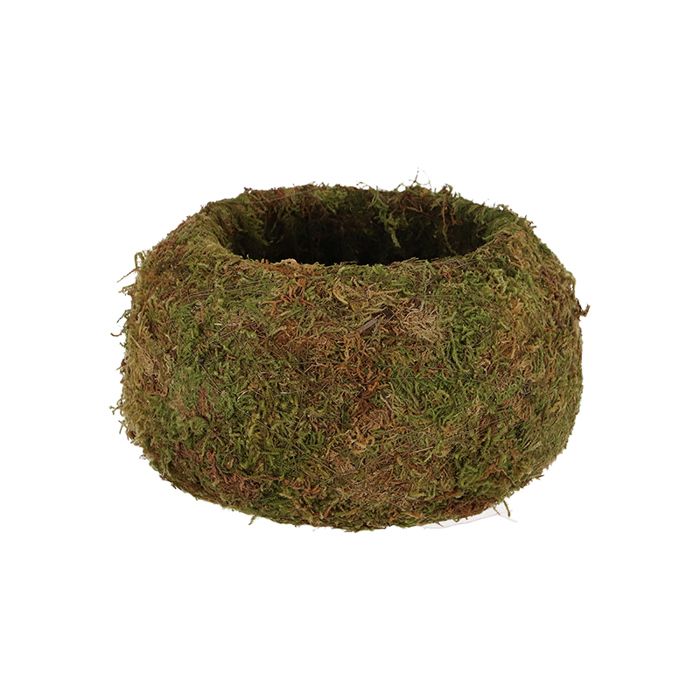 Kokedama boule de mousse 9 cm