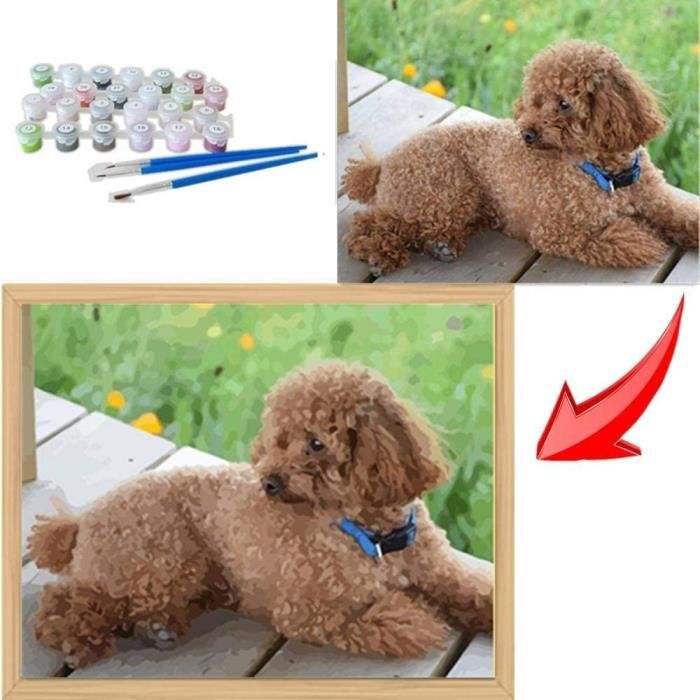Mnbhj Kit de Peinture personnalisée par numéro, Peinture à l