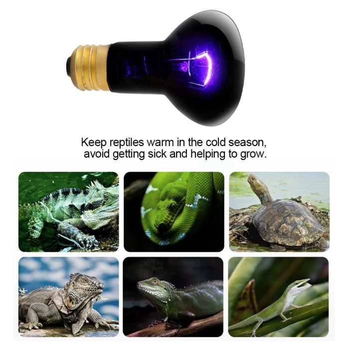 Meilleurs prix pour GUE 75W Lampe Tortue Terrestre Chauffante Reptiles et Amphibiens pour Aquarium GU345