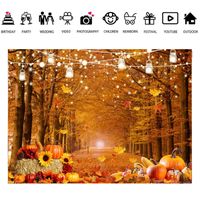 Automne Photographie Toile de Fond Automne Citrouille récolte Botte de Foin Feuilles décoration Toile de Fond Tournesol érables bébé Douche fête Fond Automne Photographie Toile de Fond Automne Citrouille récolte Botte de Foin Feuilles décoration Toile de Fond Tournesol érables bébé Douche fête Fond