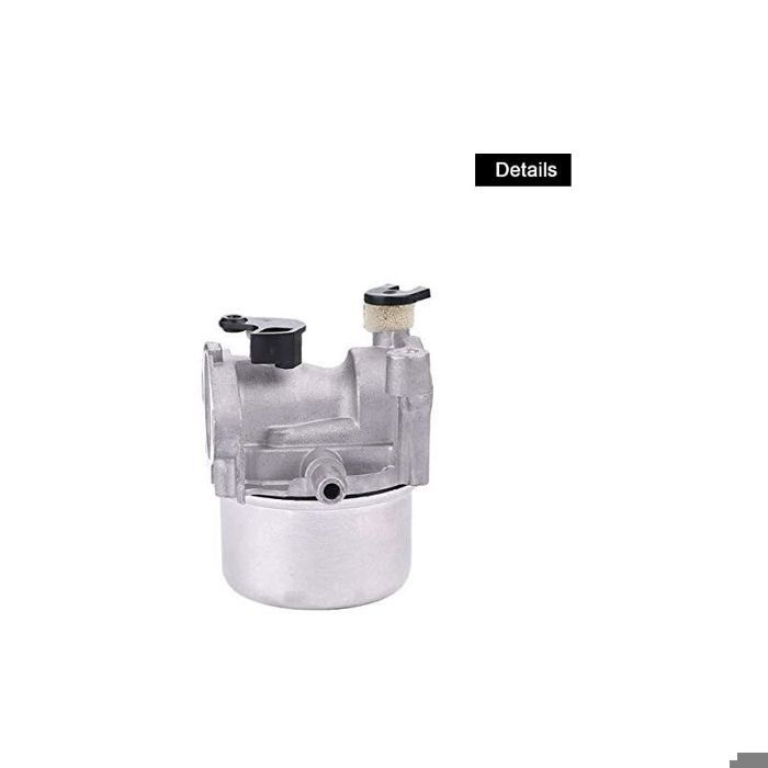 Carburateur complet Briggs & Stratton 675/725EX - Compatible moteurs ...