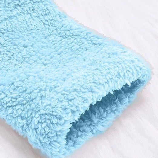 Veste Polaire à Capuche Pour Chat