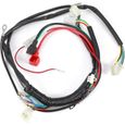 Kit complet de faisceau de câbles CDI de bobine de Stator électrique CDI métier à tisser de fil pour Pit Bike moto ATV Quad 70cc-0